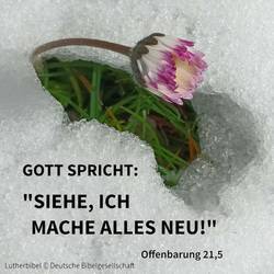 Quelle: FUNDUS Medien